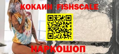 гидра Кинель