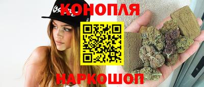 гидра Кинель