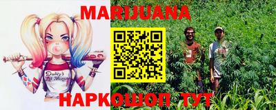 гидра Кинель