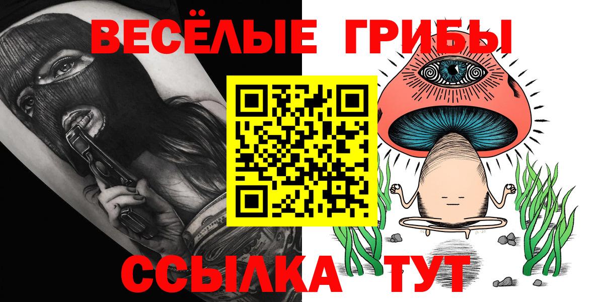 Галлюциногенные грибы Psilocybe Коркино